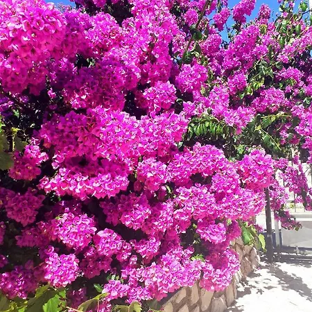 La Meri Διαμέρισμα *